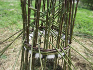 weidenkreuz franoesisches seitengeflecht salix weidenwahn