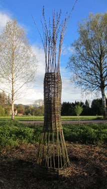 weidenkreuz wachsende weidenobjekte salix weidenwahn